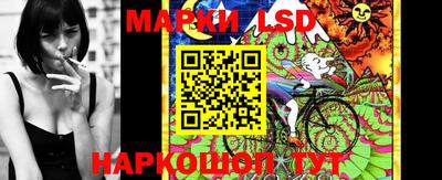 стаф Будённовск