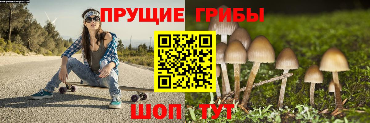 Арсеньев  Галлюциногенные грибы мухоморы  Галлюциногенные грибы Psilocybine cubensis  Вход с VPN 